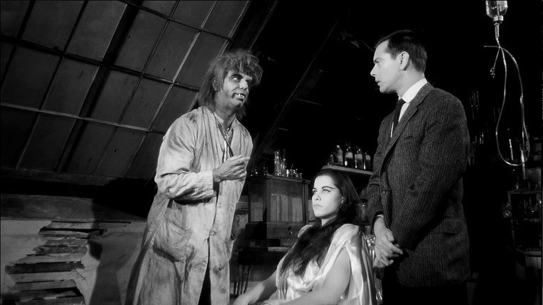 The Wacky World of Dr. Morgus backdrop 2