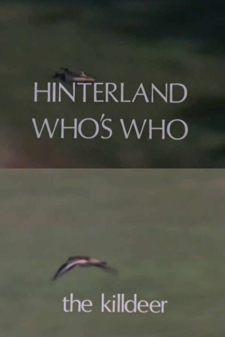 Hinterland Who's Who: Killdeer
