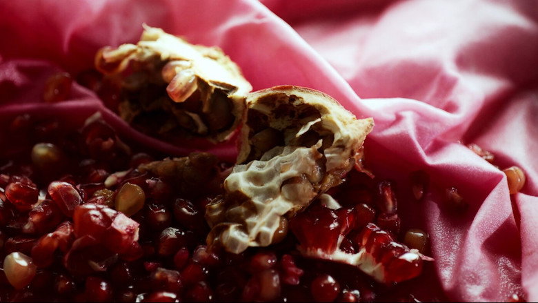 The Pomegranate Theory backdrop 3