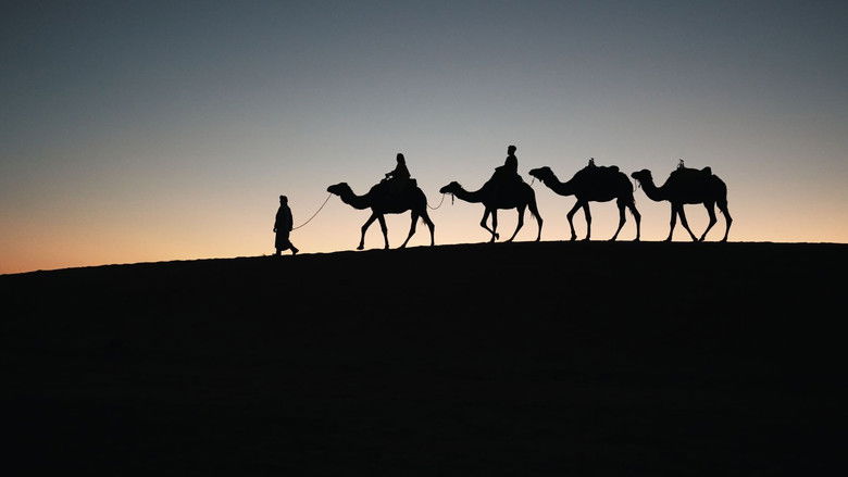 ...That only silk was transported on the Silk Road?