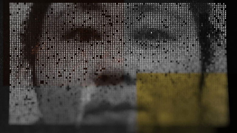 The Crypto Con Woman