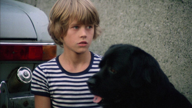 Hang on, Doggy backdrop 5