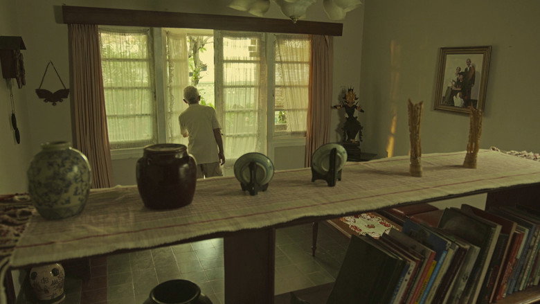When She Comes Home backdrop 3