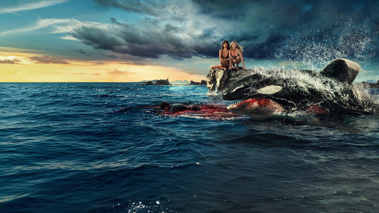 Killer Whale backdrop 8