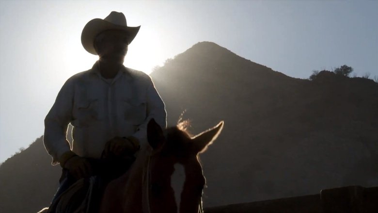 Crossing Borders: Mexican Bison