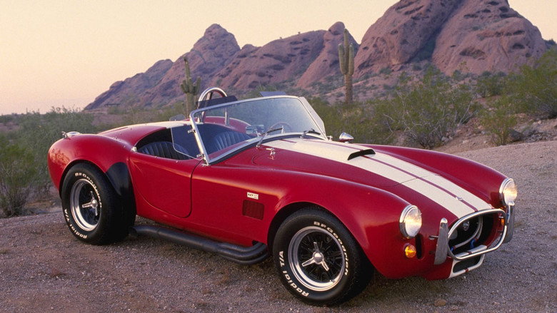 Cobra backdrop 3