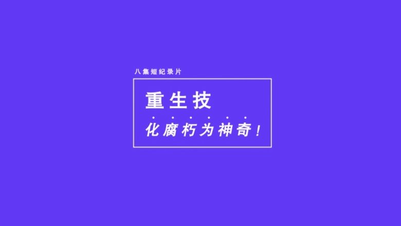 重生技：化腐朽为神奇
