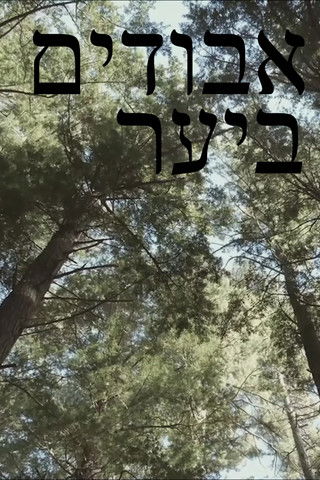 אבודים ביער