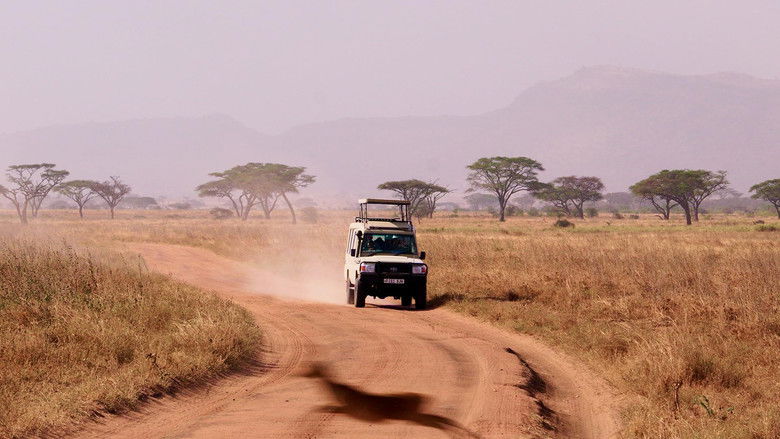 On Tanzania’s Dusty Roads