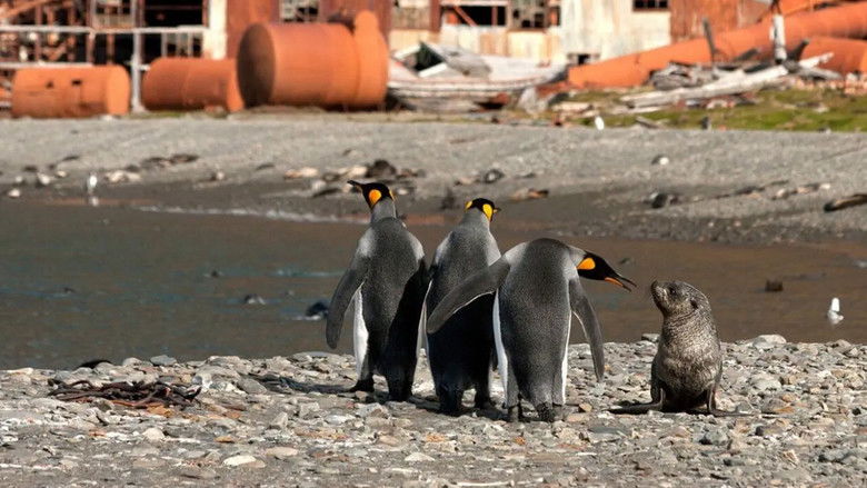 Dangerous and Deadly - Episode 1