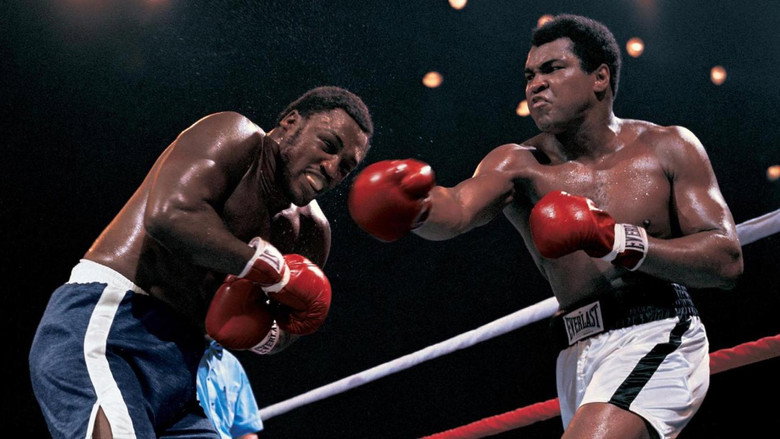 Thrilla in Manila backdrop 1
