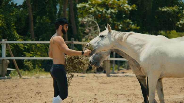 Pedro Had a Horse backdrop 8