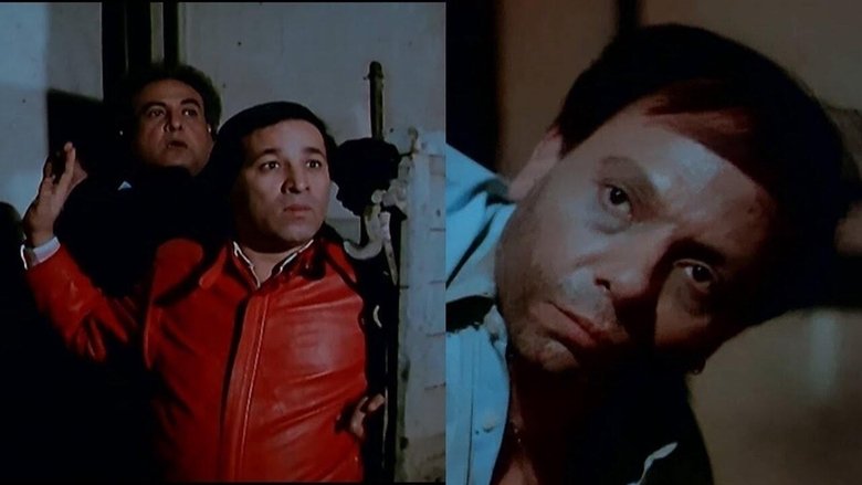 Hassan Abo El Suood
