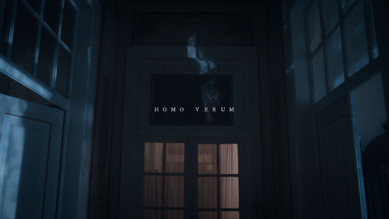 Homo Verum backdrop 4