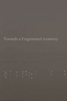 Towards a Fragmented Anatomy