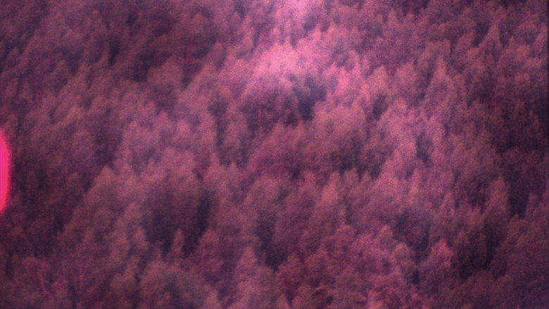 Travelers' Suite backdrop 1