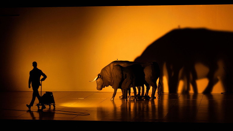 Bull's Heart backdrop 7
