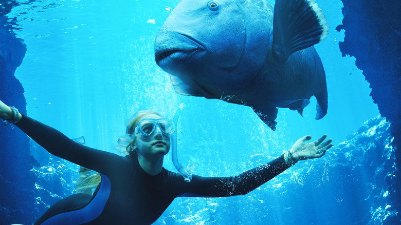 Blueback backdrop 5