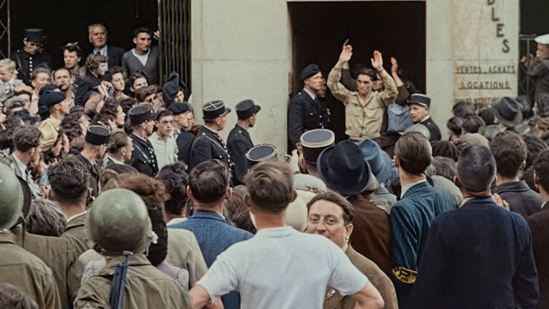 La France de l'épuration, entre vengeance et justice backdrop 8