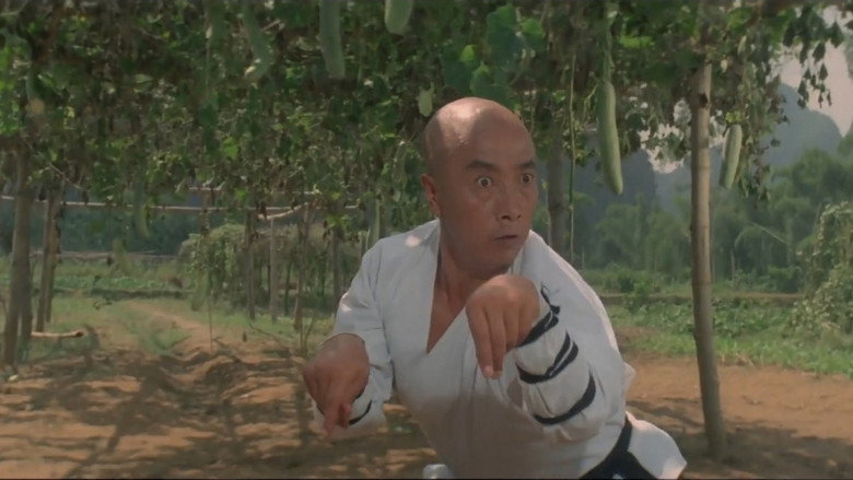 Martial Arts of Shaolin backdrop 3