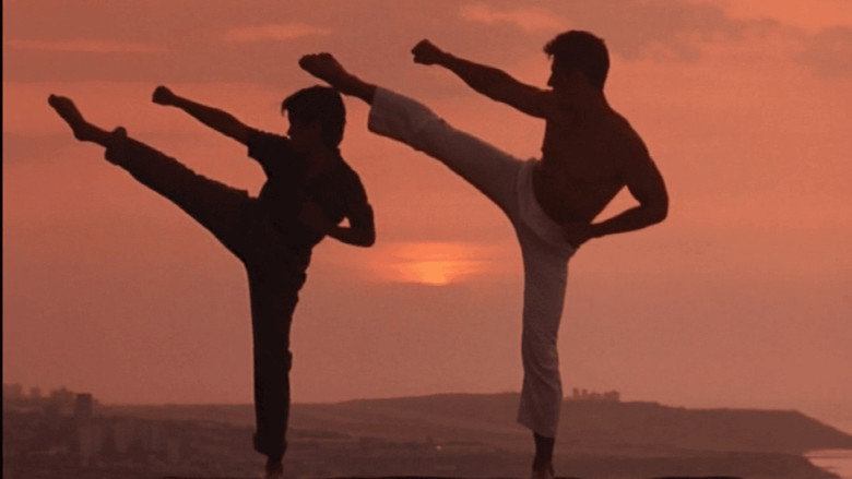 American Ninja 5 backdrop 3