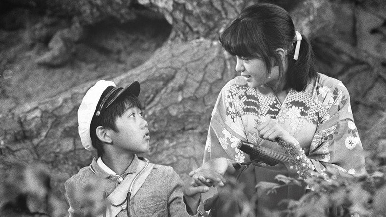 Bound for the Fields, the Mountains, and the Seacoast backdrop 3