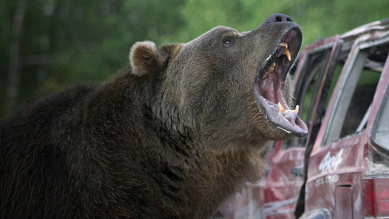 Grizzly Rage backdrop 3