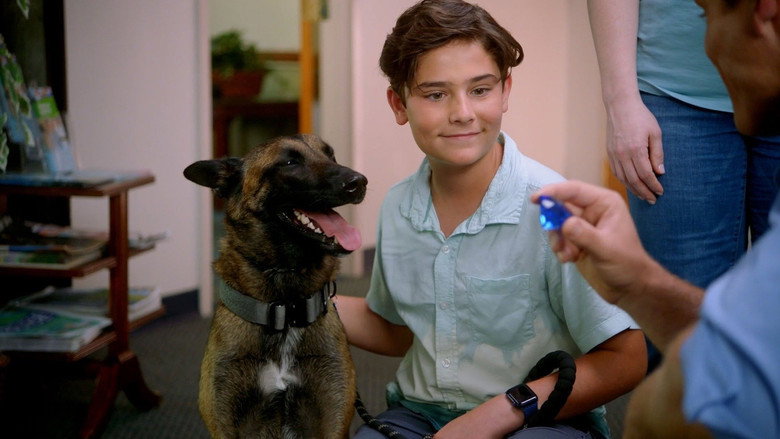 R.A.D.A.R.: The Adventures of the Bionic Dog backdrop 2