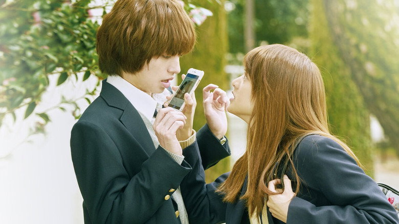 Peach Girl backdrop 5