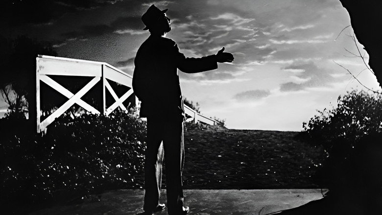 Harvey backdrop 3
