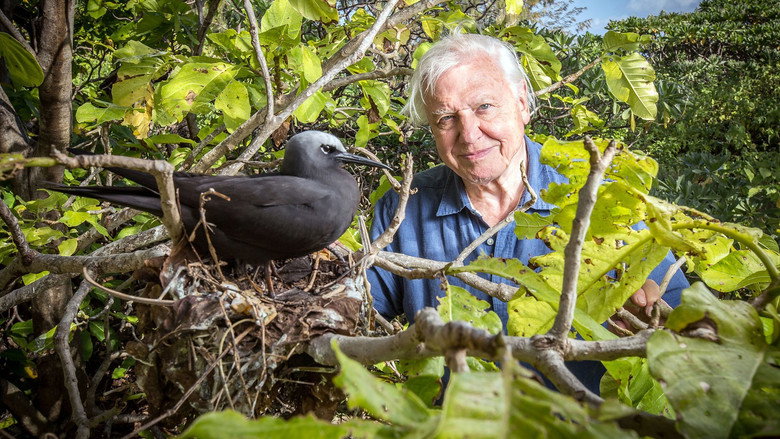 Great Barrier Reef with David Attenborough backdrop 7