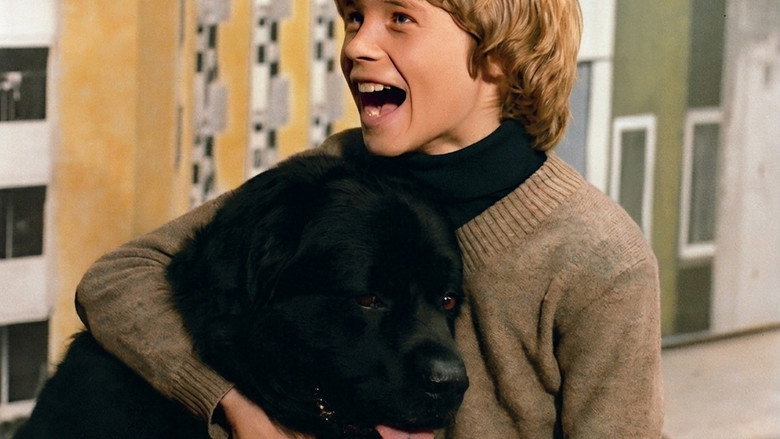 Hang on, Doggy backdrop 8