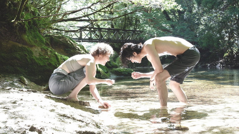 Yakushima's Illusion backdrop 4