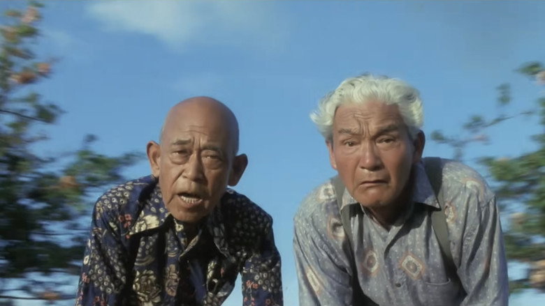 Hawaiian Dream backdrop 6