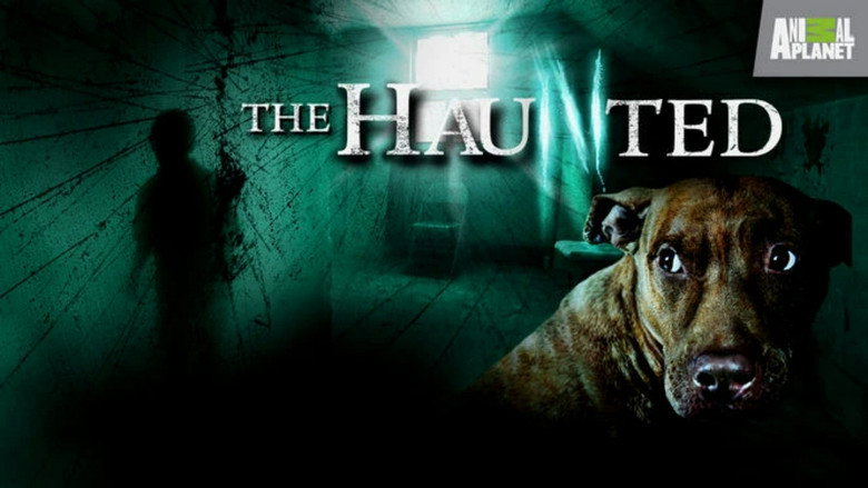 The Haunted backdrop 4