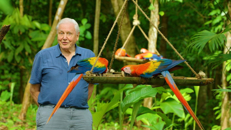 Attenborough's Life in Colour backdrop 8