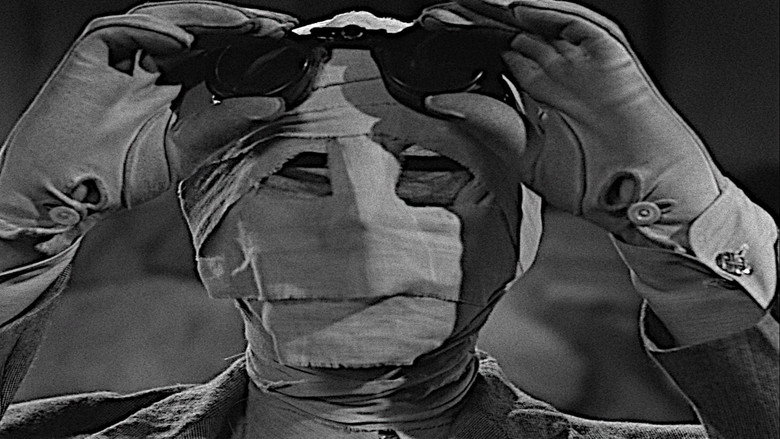 The Invisible Man's Revenge backdrop 3