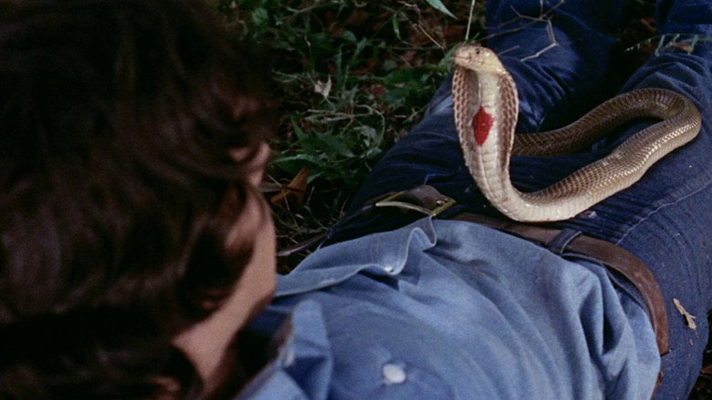 Night of the Cobra Woman backdrop 9