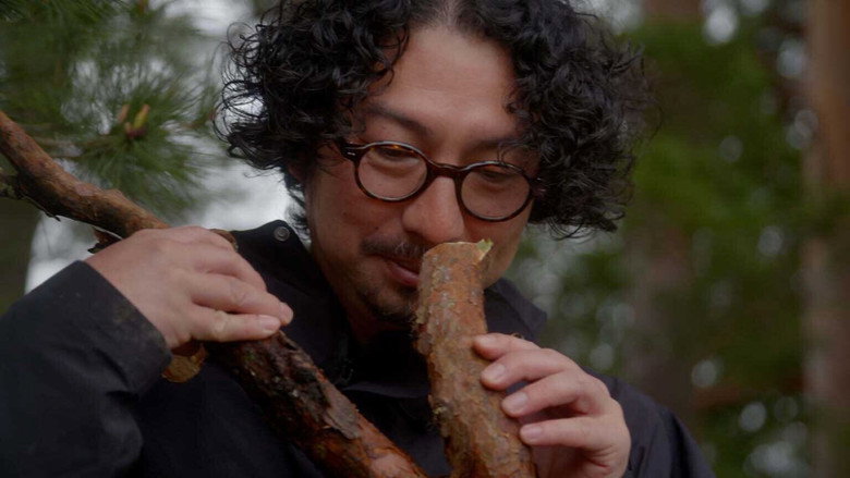 Essence of the Forest
