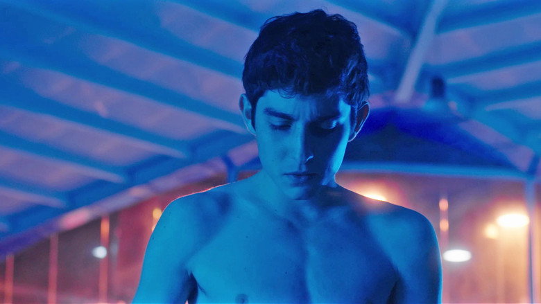 The Israeli Boys backdrop 2