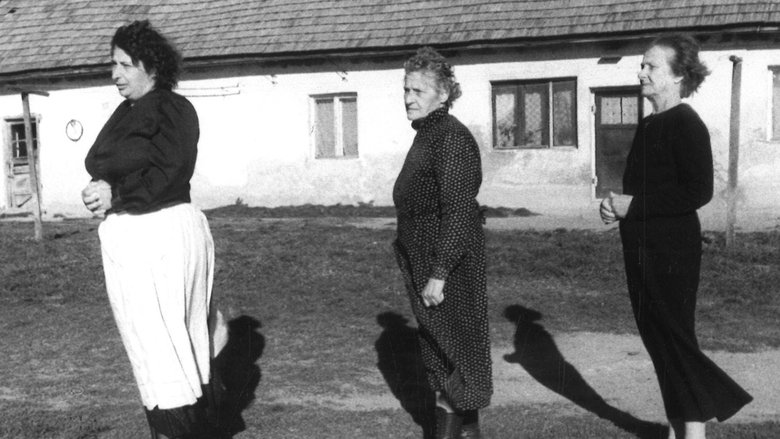 Eleonóra Peták