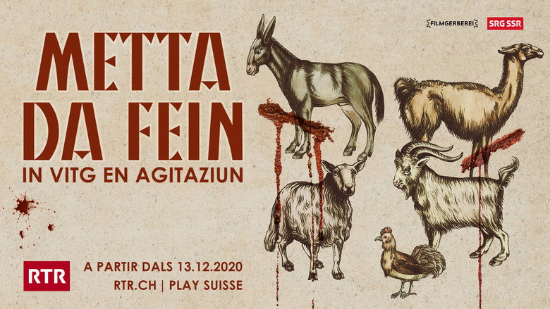 Metta da fein backdrop 2