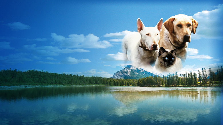 The Incredible Journey backdrop 5