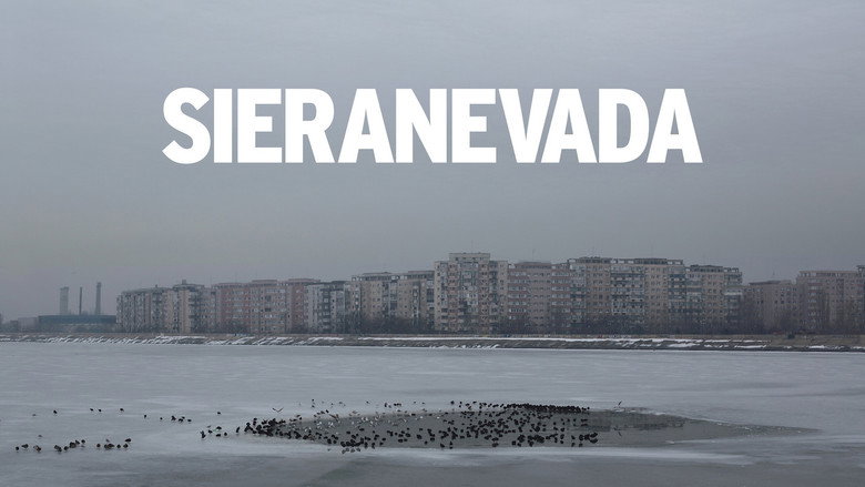 Sieranevada backdrop 6