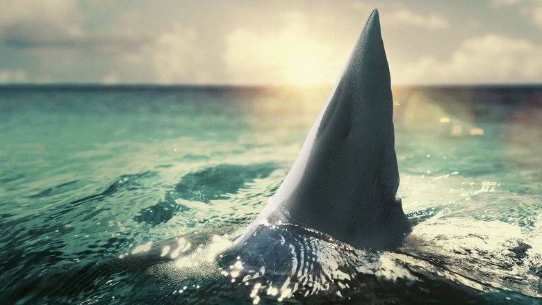 When Sharks Attack 360 backdrop 2