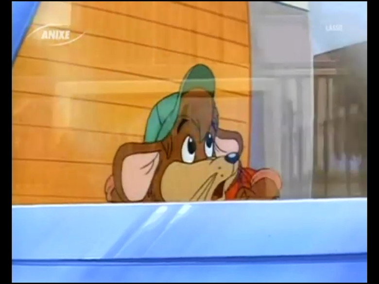 Max Goes to Washington