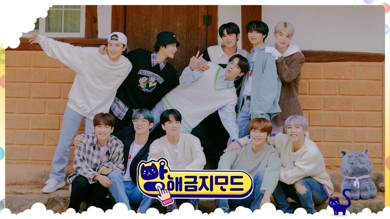 DND (Do Not Disturb) THE BOYZ