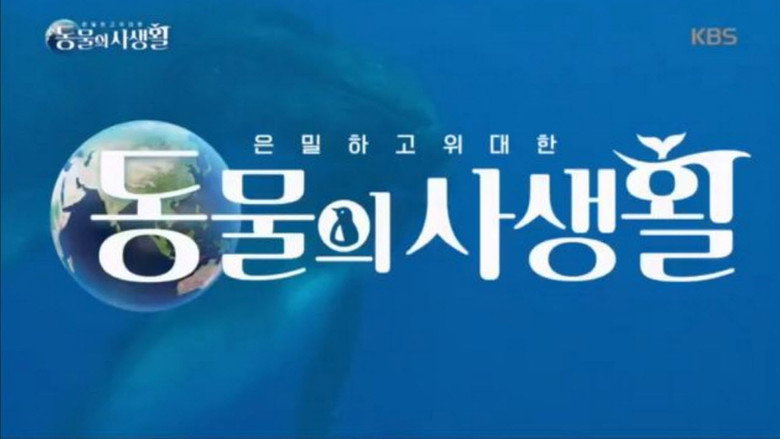 Secrets of Wildlife backdrop 1