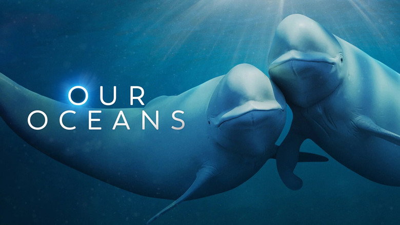 Our Oceans backdrop 5