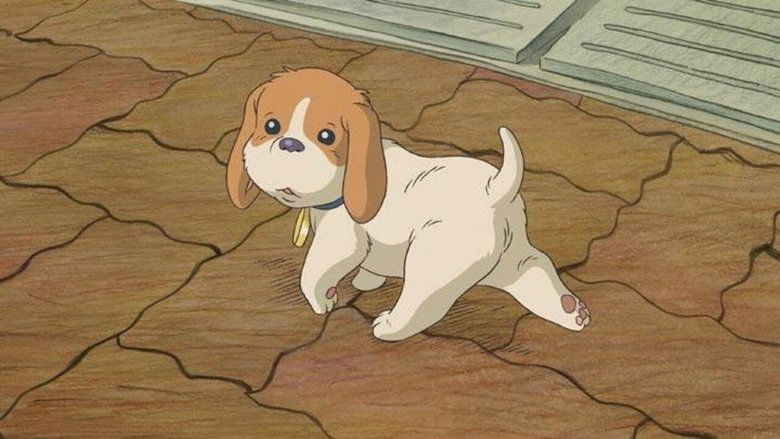 コロの大さんぽ下载完整版